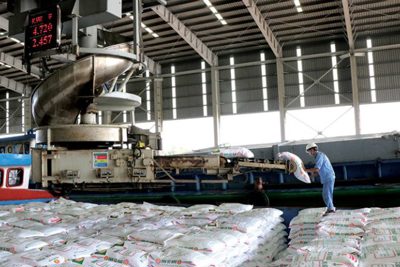 Đề xuất áp thuế giá trị gia tăng 5% với phân bón để hỗ trợ sản xuất nội địa Đề xuất áp thuế giá trị gia tăng 5% với phân bón để hỗ trợ sản xuất nội địa