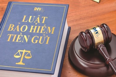 Tạo cơ sở pháp lý cho Bảo hiểm tiền gửi Việt Nam phát huy vai trò đối với hệ thống ngân hàng