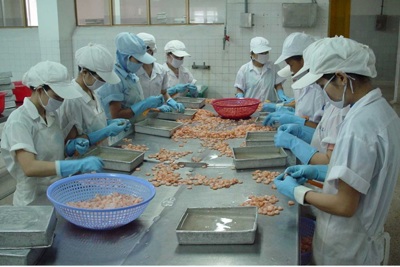 Chứng nhận ISO 22000 phù hợp với những doanh nghiệp nào?