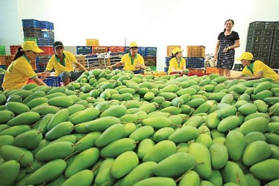 Đồng Tháp tích cực hỗ trợ doanh nghiệp nâng cao năng suất