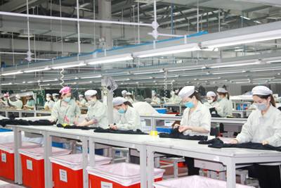 Lý do doanh nghiệp áp dụng 5S chưa hiệu quả