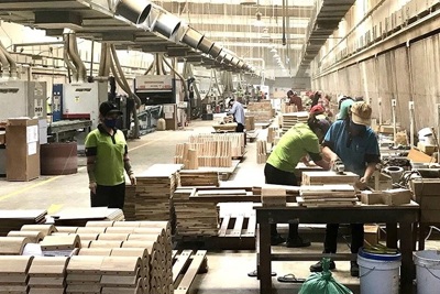 Loại bỏ trở ngại để doanh nghiệp nâng cao năng suất