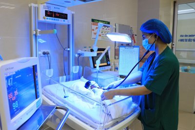 Cải tiến chất lượng là điều không thể thiếu với mọi doanh nghiệp