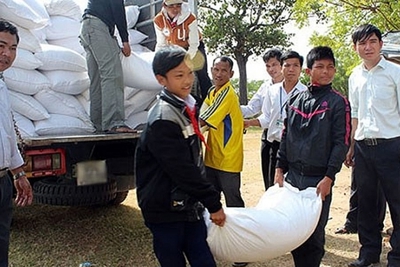 Mang gạo dự trữ quốc gia đến với học sinh vùng khó khăn Mang gạo dự trữ quốc gia đến với học sinh vùng khó khăn