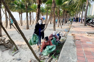 Ban hành Bộ chỉ số đánh giá kết quả bảo vệ môi trường của các tỉnh, thành phố