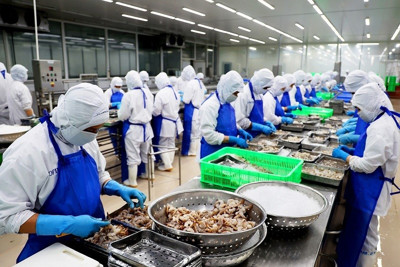 Doanh nghiệp nào nên áp dụng ISO 22000?