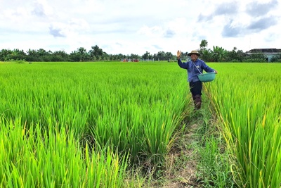 Thí điểm vận hành sàn giao dịch carbon từ tháng 6/2025