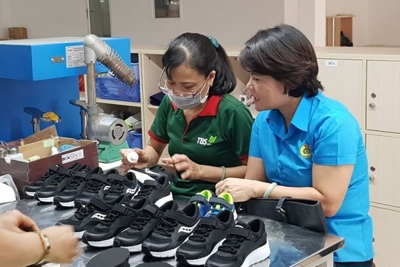 Năng suất, hiệu quả năm sau cao hơn năm trước nhờ ISO 9001