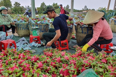 Thay đổi tư duy để nâng cao năng suất, chất lượng