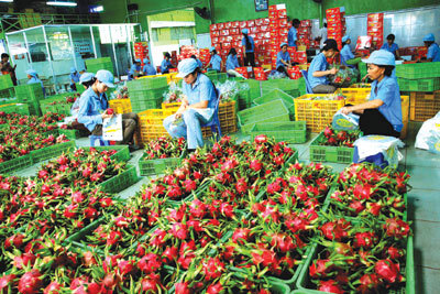 Địa phương tạo bệ đỡ cho doanh nghiệp nâng cao năng suất, chất lượng Địa phương tạo bệ đỡ cho doanh nghiệp nâng cao năng suất, chất lượng