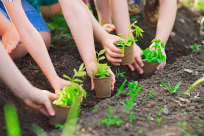 Việt Nam chủ động ứng phó với biến đổi khí hậu 