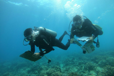 Hướng tới xây dựng khung thống kê, bộ dữ liệu môi trường biển theo tiêu chuẩn quốc tế