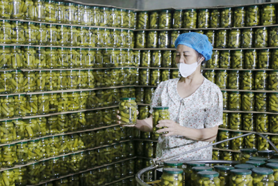 Doanh nghiệp nông thôn vượt khó nâng cao năng suất