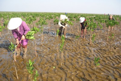 Dành nguồn lực đầu tư thích ứng biến đổi khí hậu để giảm thiểu tổn thất GDP