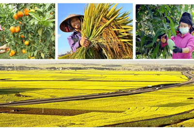 Từ ngày 1/7 thực hiện Tổng điều tra nông thôn, nông nghiệp năm 2025 trên phạm vi cả nước Từ ngày 1/7 thực hiện Tổng điều tra nông thôn, nông nghiệp năm 2025 trên phạm vi cả nước