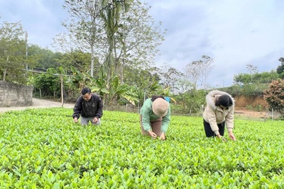 Nơi ở và làm việc lâu nhất của Bộ Tài chính tại ATK Nơi ở và làm việc lâu nhất của Bộ Tài chính tại ATK