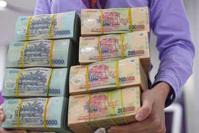 Hàng loạt doanh nghiệp chốt quyền cổ tức vào ngày 15/8: May Nhà Bè dẫn đầu Hàng loạt doanh nghiệp chốt quyền cổ tức vào ngày 15/8: May Nhà Bè dẫn đầu
