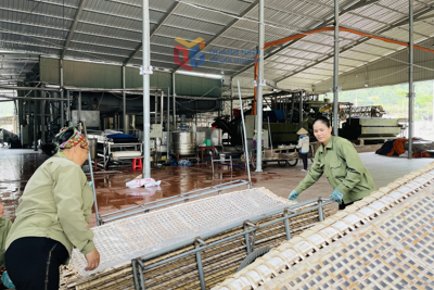 Tổng điều tra nông thôn, nông nghiệp năm 2025 tại Quảng Ninh: Chủ động và thích ứng linh hoạt trước những thay đổi lớn Tổng điều tra nông thôn, nông nghiệp năm 2025 tại Quảng Ninh: Chủ động và thích ứng linh hoạt trước những thay đổi lớn