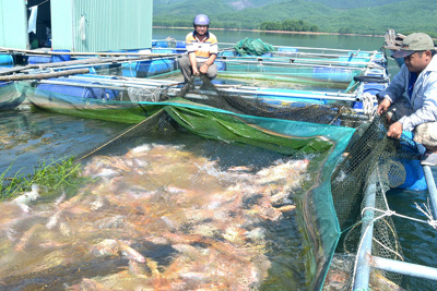 Điều tra thủy sản – cơ sở để hoạch định các chính sách phát triển ngành thủy sản Điều tra thủy sản – cơ sở để hoạch định các chính sách phát triển ngành thủy sản