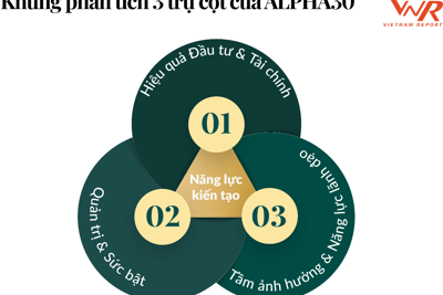 Tổng tài sản loạt "đại gia" Top 30 Tập đoàn Đầu tư Chiến lược Việt Nam đạt 2,43 triệu tỷ đồng Tổng tài sản loạt "đại gia" Top 30 Tập đoàn Đầu tư Chiến lược Việt Nam đạt 2,43 triệu tỷ đồng
