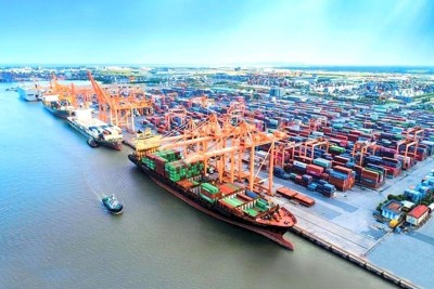 Ba cảng biển Việt Nam lọt Top 100 cảng container có lượng hàng hóa qua cảng lớn nhất thế giới Ba cảng biển Việt Nam lọt Top 100 cảng container có lượng hàng hóa qua cảng lớn nhất thế giới
