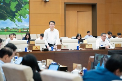 Nên cấp phát vốn vay ưu đãi nước ngoài với địa phương chưa cân đối được ngân sách Nên cấp phát vốn vay ưu đãi nước ngoài với địa phương chưa cân đối được ngân sách