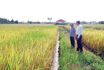 Giảm nghèo bền vững – động lực thúc đẩy xây dựng nông thôn mới toàn diện Giảm nghèo bền vững – động lực thúc đẩy xây dựng nông thôn mới toàn diện