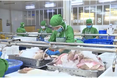 Thủy sản An Giang đóng góp tích cực vào kinh tế biển và hội nhập quốc tế Thủy sản An Giang đóng góp tích cực vào kinh tế biển và hội nhập quốc tế