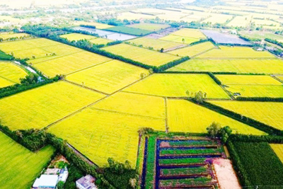 Nông nghiệp phát thải thấp - Trụ cột trong tiến trình chuyển đổi xanh