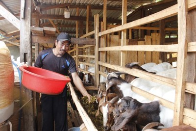 Đắk Lắk bứt phá hướng tới mục tiêu không còn hộ nghèo