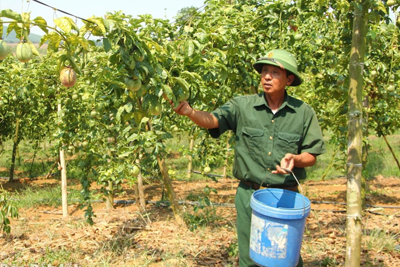 Tín dụng chính sách - Điểm tựa vững chắc cho hành trình giảm nghèo ở Đắk Lắk