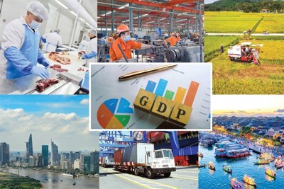 Nâng tầm tư duy phát triển kinh tế tư nhân trong dự thảo các văn kiện Đại hội Đảng XIV