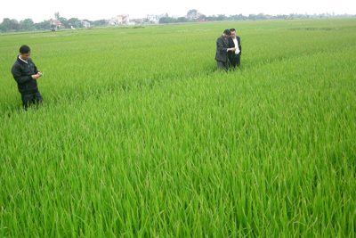 Báo chí tích cực đồng hành cùng kinh tế tập thể