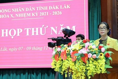 Đắk Lắk lần đầu tiên thu ngân sách vượt ngưỡng 9.000 tỷ đồng