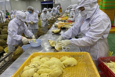 Bến Tre: Thu ngân sách nhà nước ước đạt 100% dự toán Trung ương giao