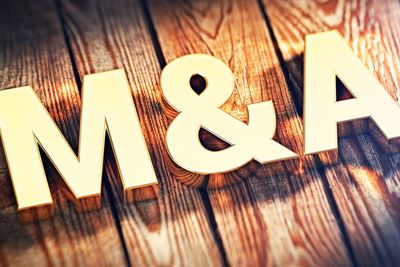 Các thương vụ M&A có đủ mạnh để “đảo chiều” thị trường bất động sản 2023?