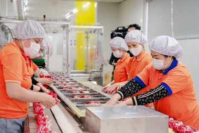 Thu ngân sách nội địa của tỉnh Thái Bình đạt cao nhất từ trước đến nay