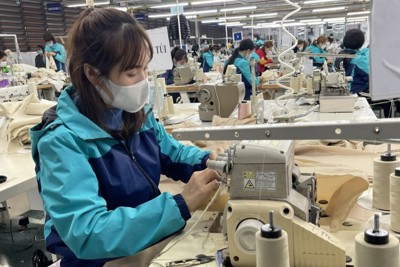 Thái Nguyên: Kim ngạch xuất khẩu đạt hơn 31 tỷ USD