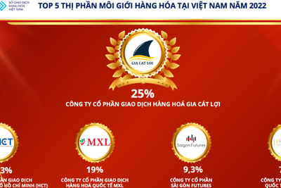 Công bố Top 5 thị phần môi giới hàng hóa tại Việt Nam năm 2022