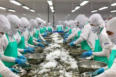 Các ngành hàng xuất khẩu chủ lực tự tin bước vào năm mới