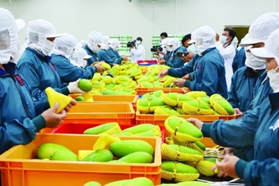 Chủ động, linh hoạt tìm cơ hội tăng trưởng