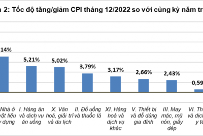 Chỉ số giá tiêu dùng tháng 12/2022