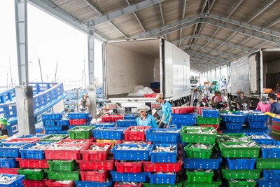 Sát cánh cùng doanh nghiệp đồng bằng sông Cửu Long