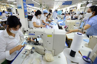 Xuất khẩu vẫn gặp khó