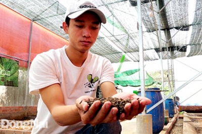 Kinh tế tuần hoàn trong ngành chăn nuôi