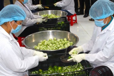 Đẩy mạnh chế biến nông sản để tăng sức cạnh tranh