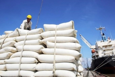 Xuất khẩu gạo tháng Ba: Thiết lập kỷ lục mới