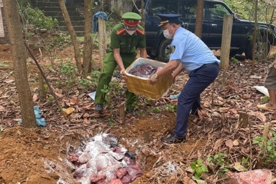 Phối hợp, ngăn chặn hàng tấn thực phẩm không nguồn gốc
