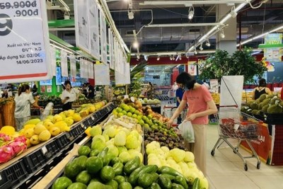 Áp lực tăng trưởng tiêu dùng nội địa