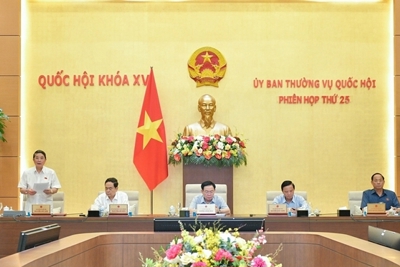 Không làm phát sinh thủ tục hành chính gây khó khăn cho người dân, doanh nghiệp